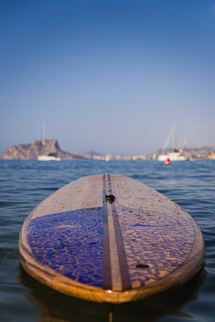 Vista 6